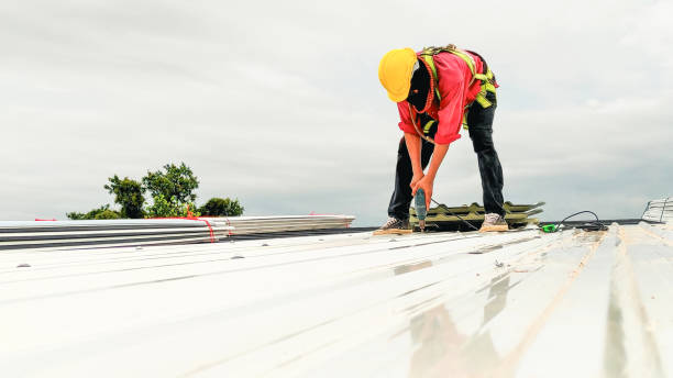 Best Commercial Roofing Services  in Malden, MO